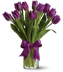Passionate Purple Tulips from Parkway Florist in Pittsburgh PA